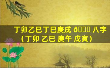 丁卯乙巳丁巳庚戌 🐋 八字（丁卯 乙巳 庚午 戊寅）